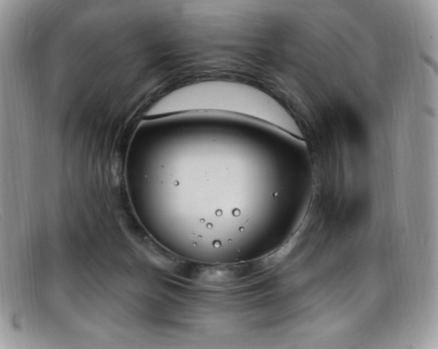 X0000099320174200805021321