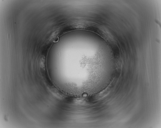 X0000099320175200805021321