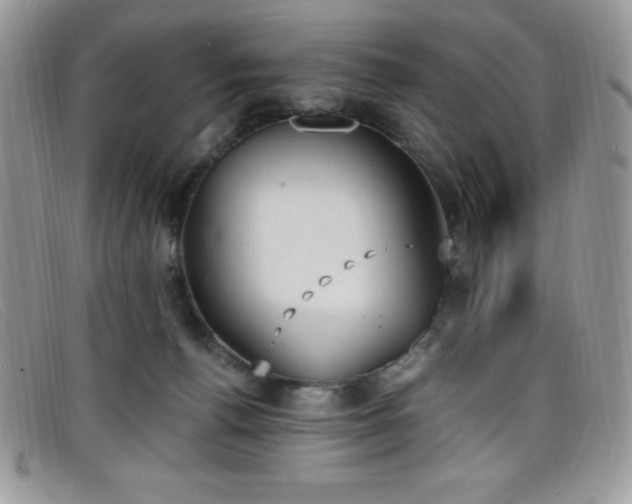 X0000099320176200805021321