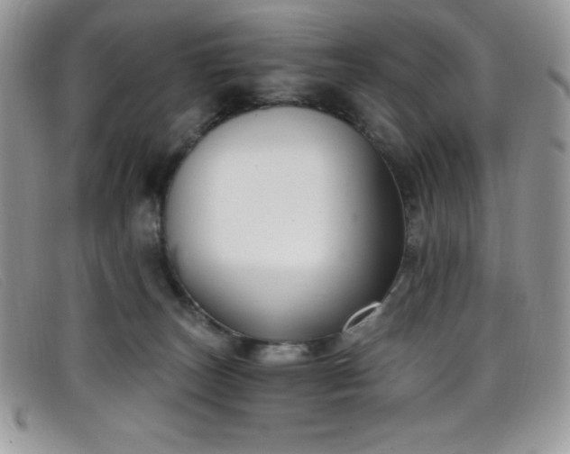 X0000099320179200805021321