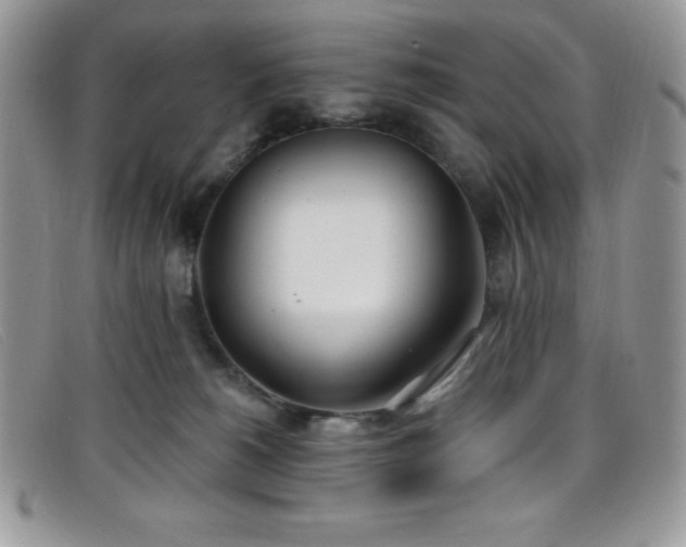 X0000099320180200805021321