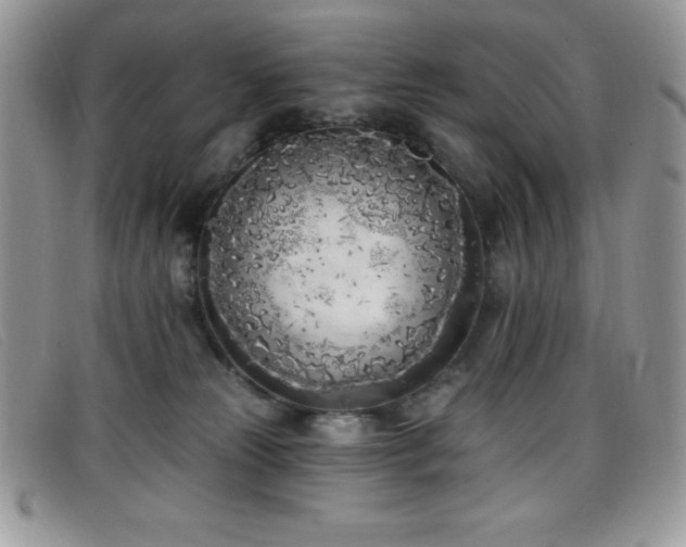 X0000099320181200805021321