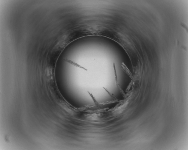 X0000099320182200805021321