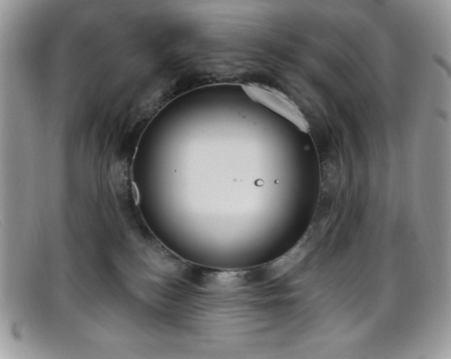 X0000099320184200805021321