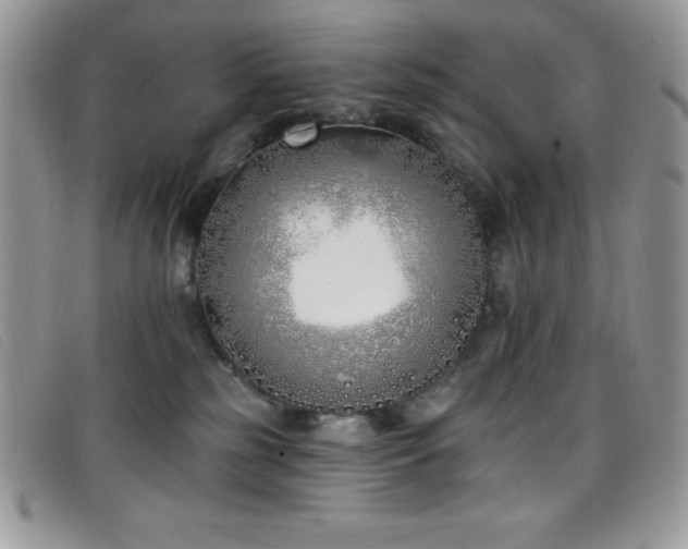 X0000099320185200805021321