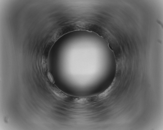 X0000099320186200805021321