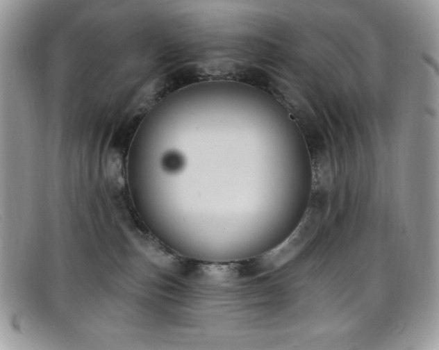 X0000099320187200805021321