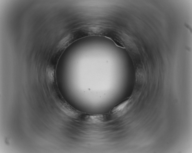 X0000099320188200805021321