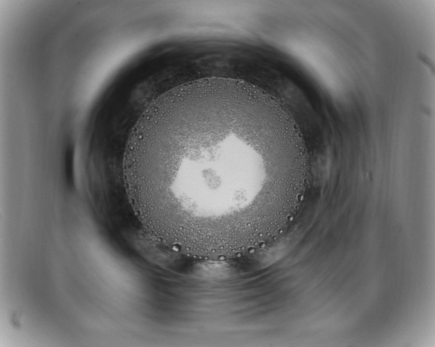 X0000099320189200805021321