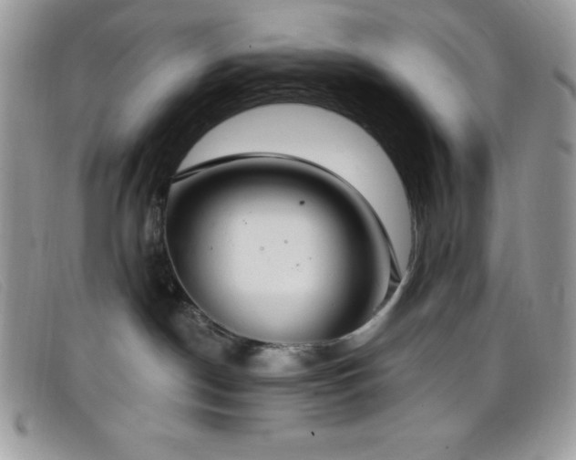 X0000099320190200805021321