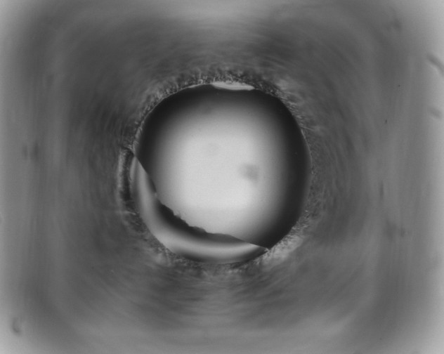 X0000099320192200805021321