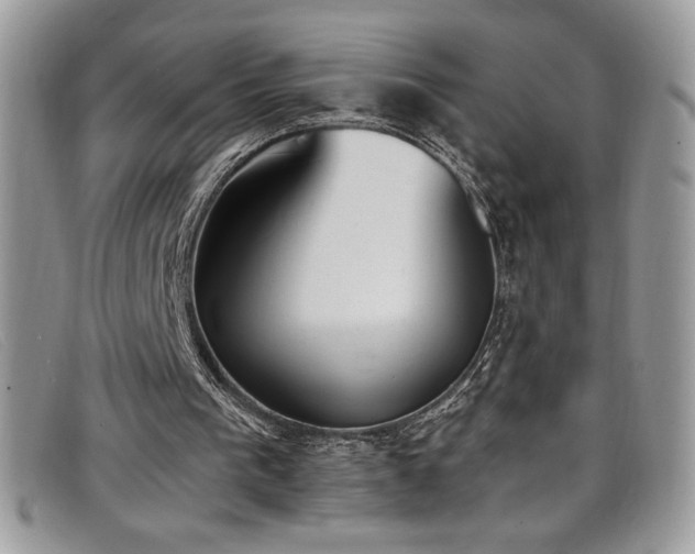 X0000099320193200805021320