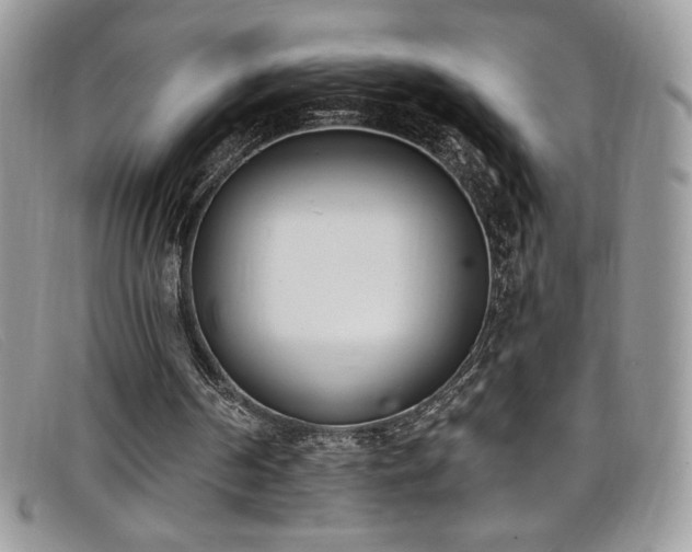 X0000099320194200805021320