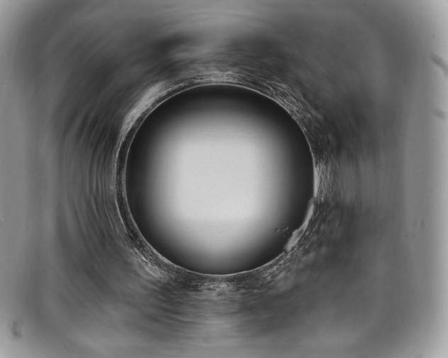 X0000099320195200805021320