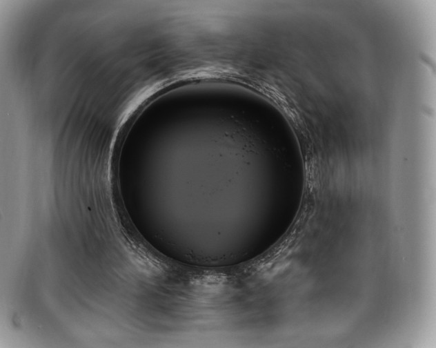 X0000099320196200805021320