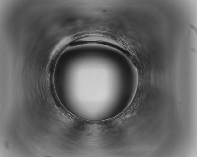 X0000099320197200805021320