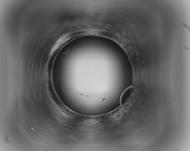 X0000099320198200805021320