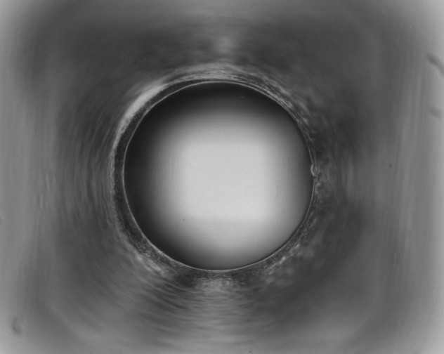 X0000099320200200805021320