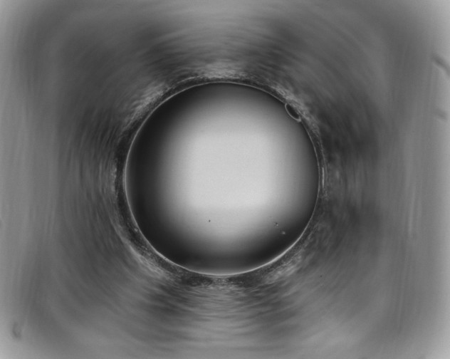 X0000099320201200805021320