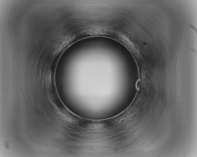 X0000099320202200805021320