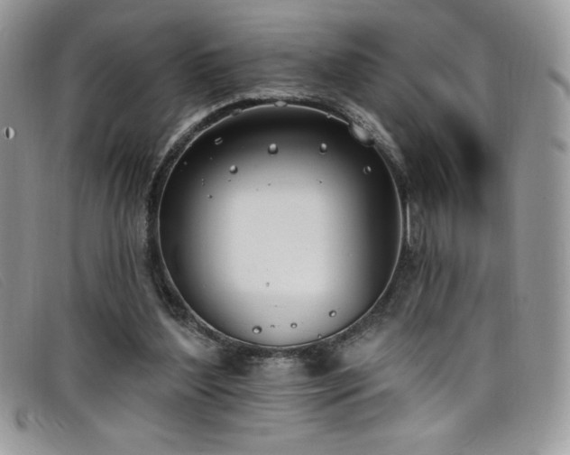 X0000099320204200805021320