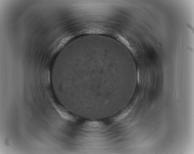 X0000099320205200805021320