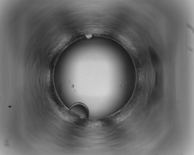 X0000099320206200805021320