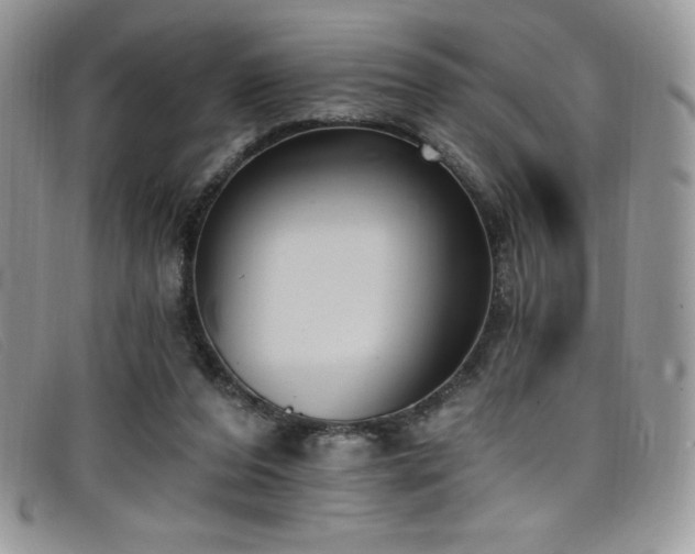 X0000099320208200805021320