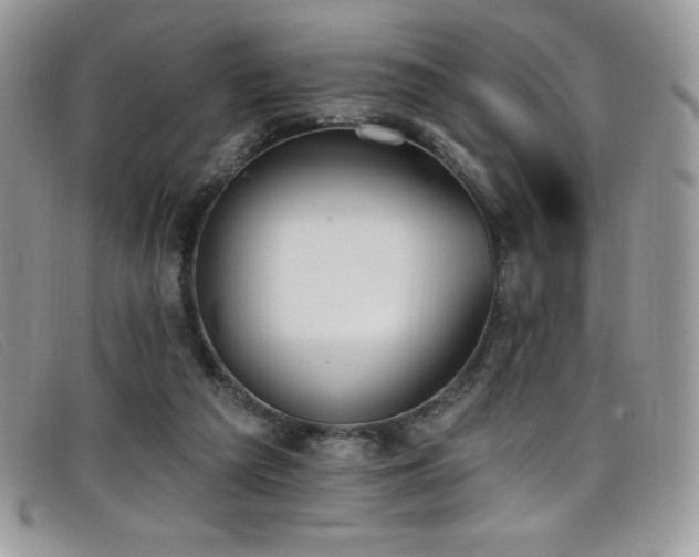 X0000099320209200805021320