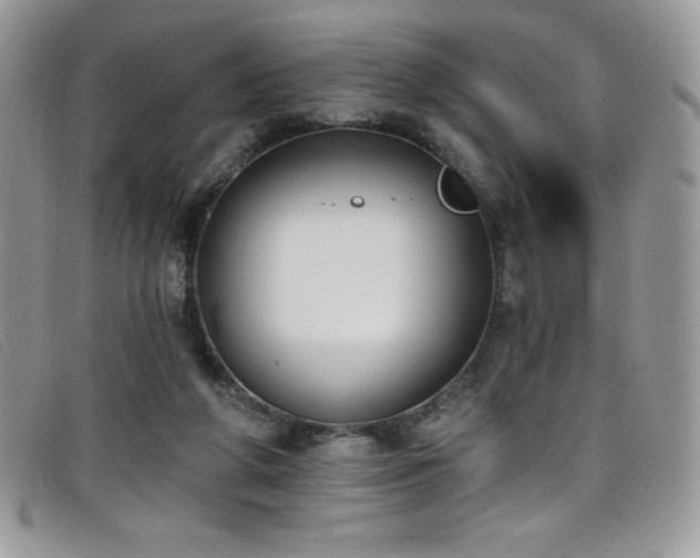 X0000099320210200805021320