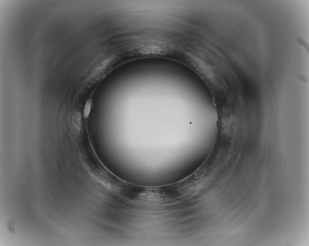 X0000099320211200805021320