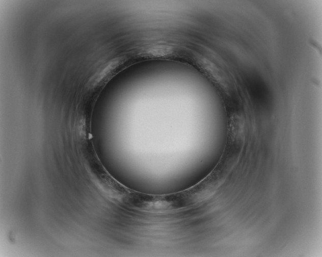 X0000099320212200805021320