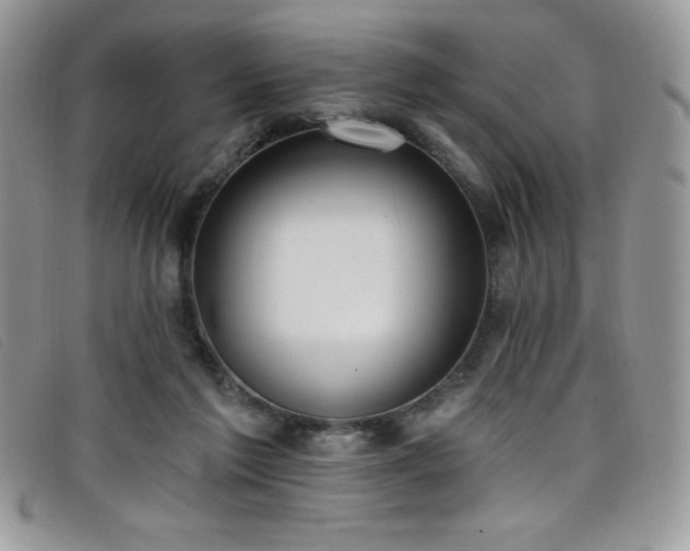 X0000099320213200805021320