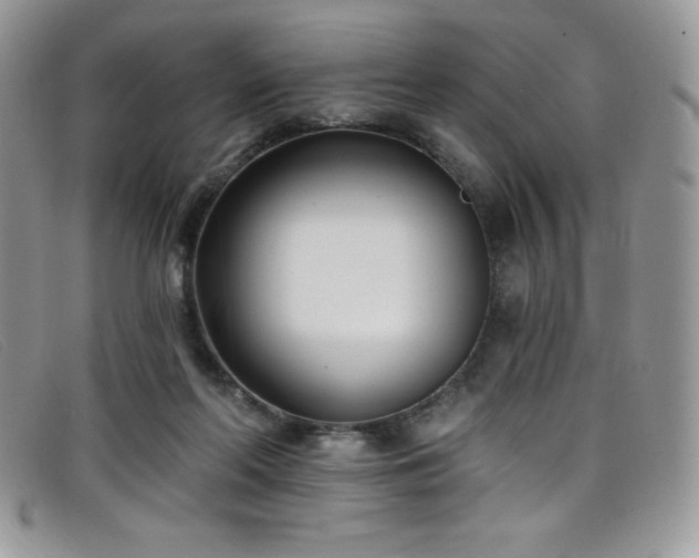 X0000099320214200805021320