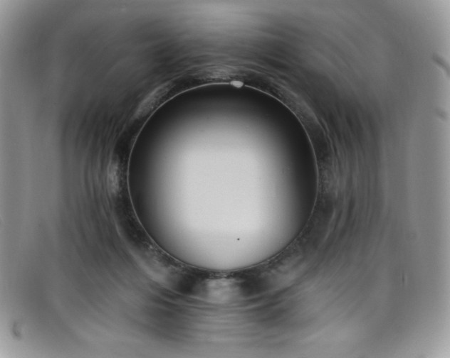 X0000099320216200805021320