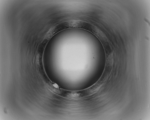 X0000099320217200805021320