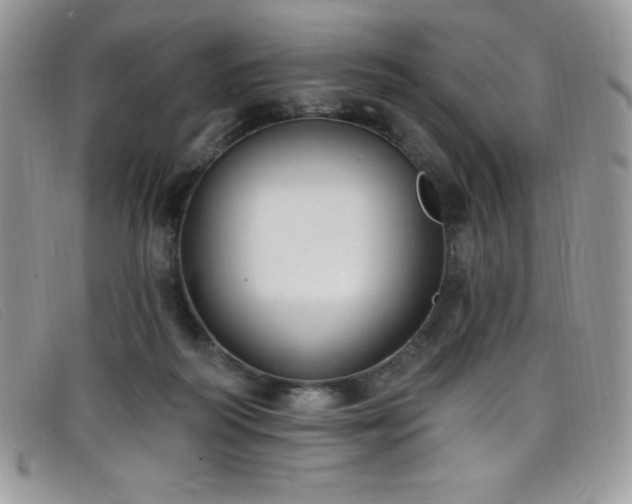 X0000099320218200805021320