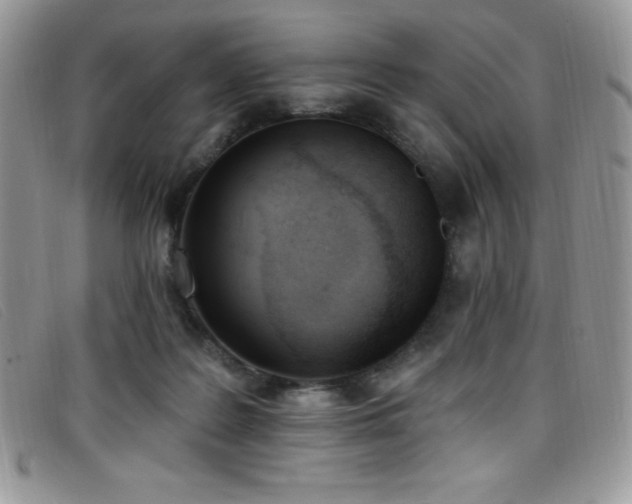 X0000099320219200805021320