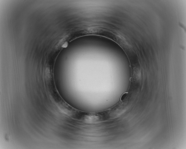 X0000099320220200805021320