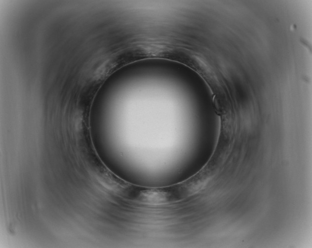 X0000099320221200805021320