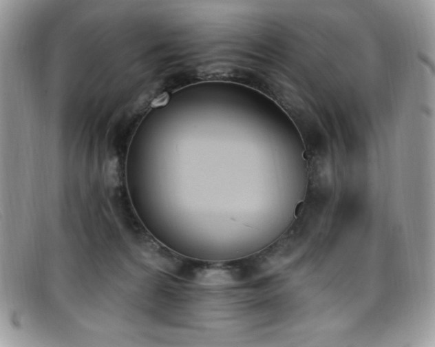 X0000099320224200805021320