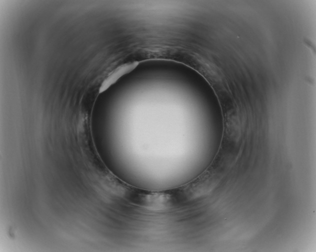 X0000099320225200805021320