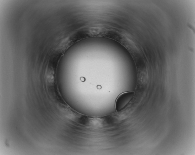 X0000099320226200805021320