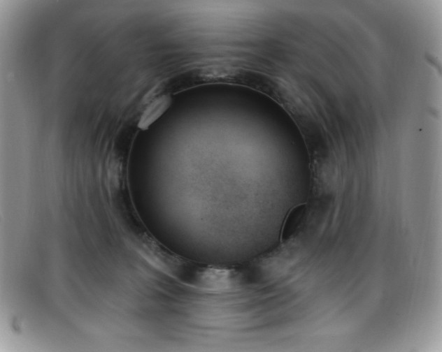 X0000099320227200805021320