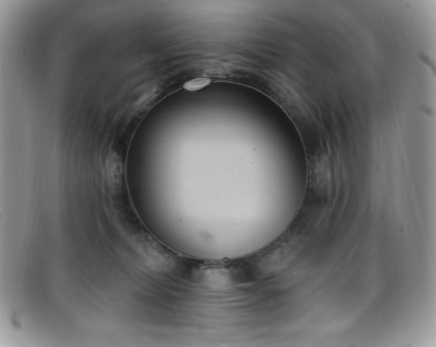 X0000099320228200805021320