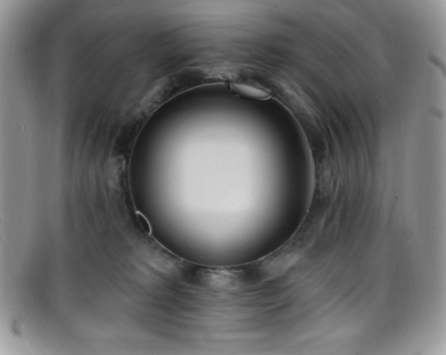 X0000099320229200805021320