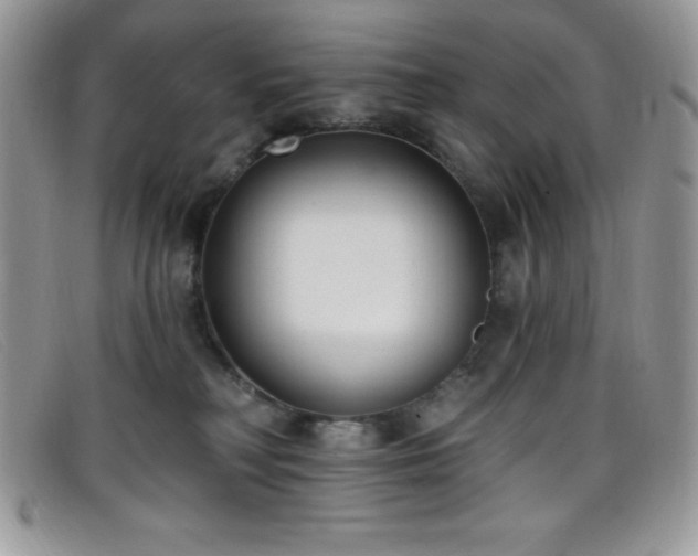 X0000099320230200805021320