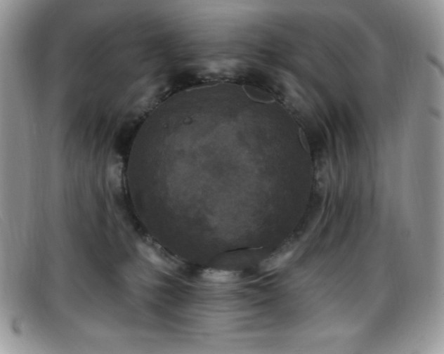 X0000099320231200805021320