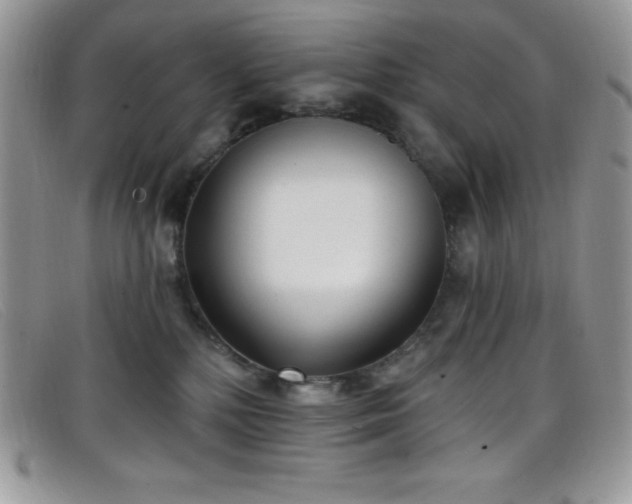 X0000099320232200805021320