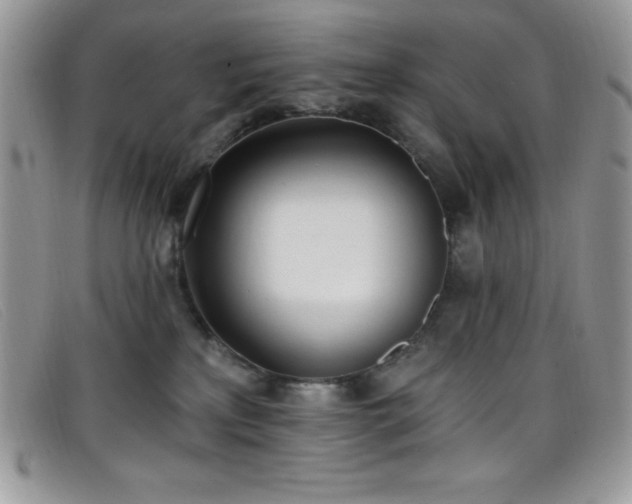 X0000099320233200805021320